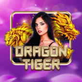 Dragon Tiger on Nustar App